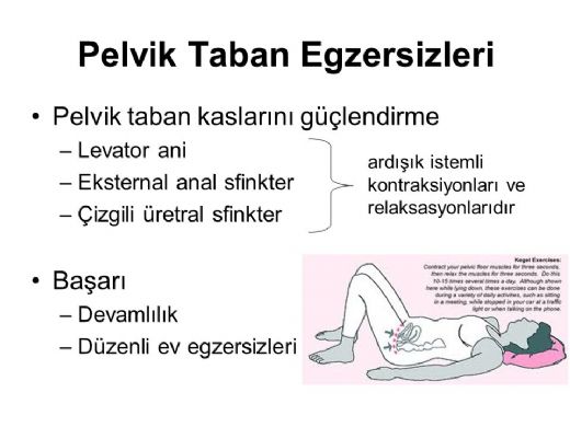 Pelvik Taban Egzersizleri